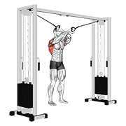 Animación de cable lat pulldown full range of motion