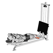 Animación de sled lying calf press