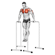 Animación de wide-grip chest dip on high parallel bars