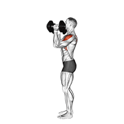 Animación de dumbbell scott press