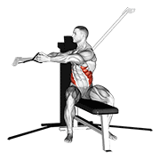Animación de cable seated twist