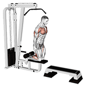 Animación de inverse leg curl (on pull-up cable machine)