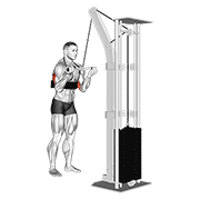 Animación de cable reverse grip triceps pushdown (sz-bar) (with arm blaster)