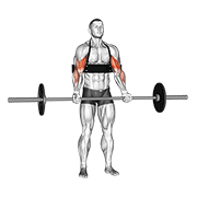 Animación de barbell biceps curl (with arm blaster)