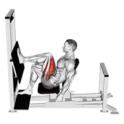 Animación de lever horizontal one leg press