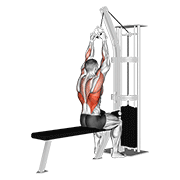 Animación de cable lateral pulldown with v-bar
