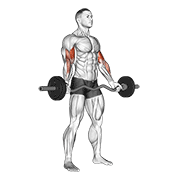 Animación de ez-barbell standing wide grip biceps curl