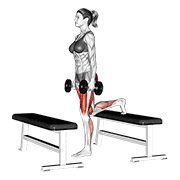 Animación de dumbbell step-up lunge