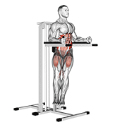 Animación de twisted leg raise