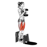 Animación de dumbbell supported squat