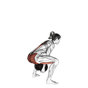 Animación de dumbbell sumo pull through