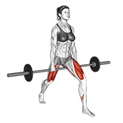 Animación de barbell split squat v. 2