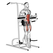 Animación de captains chair straight leg raise