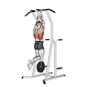 Animación de weighted close grip chin-up on dip cage