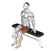 Animación de resistance band leg extension