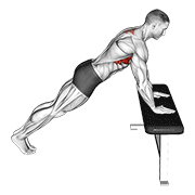 Animación de incline scapula push up