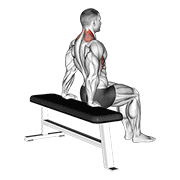 Animación de scapula dips
