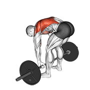 Animación de barbell pendlay row
