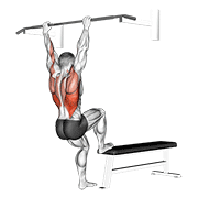 Animación de bench pull-ups