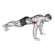 Animación de scapula push-up