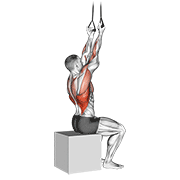 Animación de band fixed back underhand pulldown