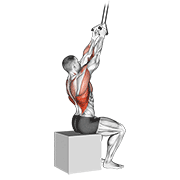 Animación de band fixed back close grip pulldown