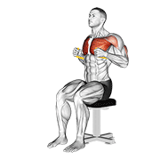 Animación de resistance band seated chest press