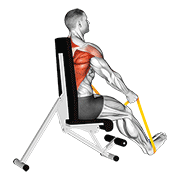 Animación de resistance band seated straight back row