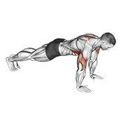 Animación de push-up plus