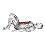 Animación de pelvic tilt