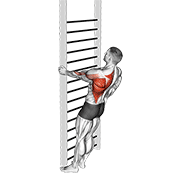 Animación de bodyweight standing close-grip one arm row