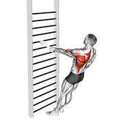 Animación de bodyweight standing one arm row (with towel)
