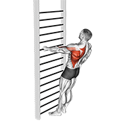 Animación de bodyweight standing one arm row