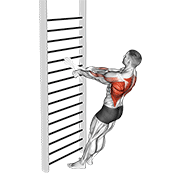 Animación de bodyweight standing row (with towel)
