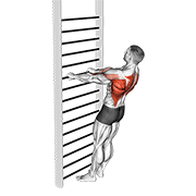 Animación de bodyweight standing row