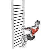Animación de bodyweight squatting row (with towel)