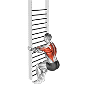 Animación de bodyweight squatting row