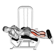 Animación de lever lying two-one leg curl