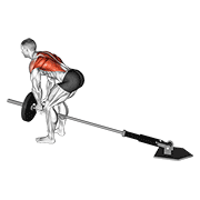 Animación de lever bent-over row with v-bar