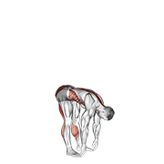 Animación de basic toe touch (male)