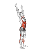 Animación de side-to-side toe touch (male)