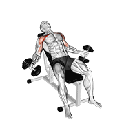 Animación de hyght dumbbell fly