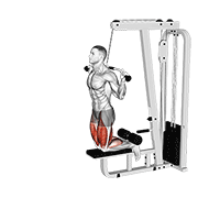 Animación de cable assisted inverse leg curl
