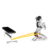 Animación de resistance band hip thrusts on knees (female)