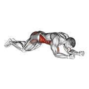 Animación de kneeling plank tap shoulder (male)