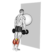 Animación de exercise ball on the wall calf raise (tennis ball between knees)