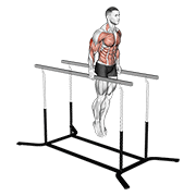Animación de elbow dips