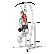 Animación de weighted one hand pull up