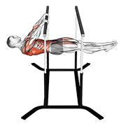 Animación de front lever reps