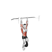 Animación de weighted muscle up (on bar)